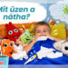 Mit üzen a nátha?